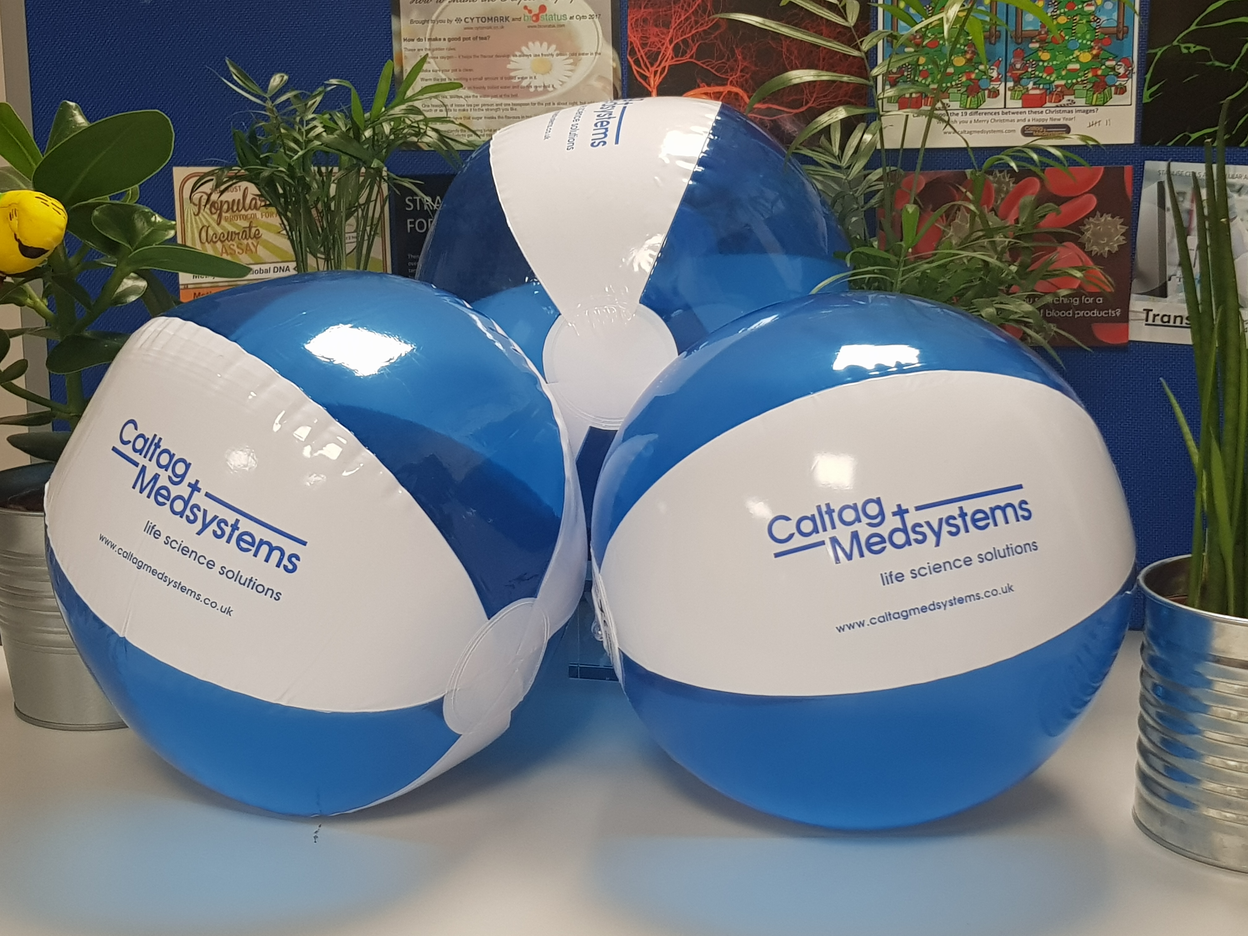 Caltag Medsystems Beach Balls